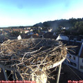 06_50-nest.jpg