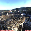 06_55-nest.jpg