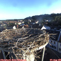 07_00-nest.jpg