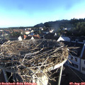 07_05-nest.jpg