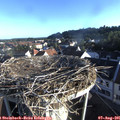 07_20-nest.jpg