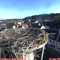 07_25-nest.jpg