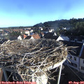 07_30-nest.jpg