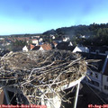 07_35-nest.jpg