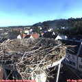 07_40-nest.jpg