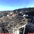 07_45-nest.jpg