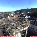 07_50-nest.jpg