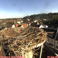 08_00-nest.jpg