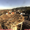 08_10-nest.jpg
