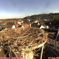 08_15-nest.jpg