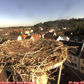 08_20-nest.jpg