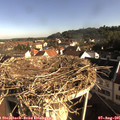 08_30-nest.jpg