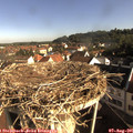 08_45-nest.jpg