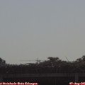 09_10-mast.jpg
