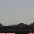 09_20-mast.jpg