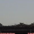 09_25-mast.jpg