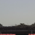 09_45-mast.jpg