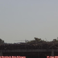 10_05-mast.jpg