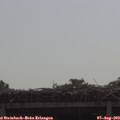 10_15-mast.jpg
