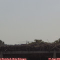 10_20-mast.jpg