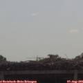 10_25-mast.jpg