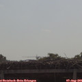 10_30-mast.jpg