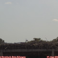 10_35-mast.jpg