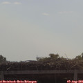 10_40-mast.jpg