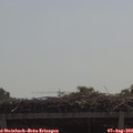 10_55-mast.jpg