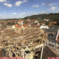 11_00-nest.jpg