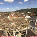 11_05-nest.jpg