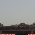 11_10-mast.jpg