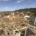 11_10-nest.jpg