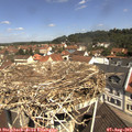 11_15-nest.jpg