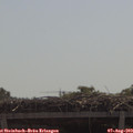 11_20-mast.jpg
