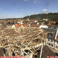 11_20-nest.jpg