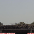 11_25-mast.jpg