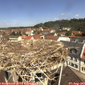 11_25-nest.jpg