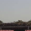 11_30-mast.jpg