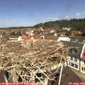 11_30-nest.jpg