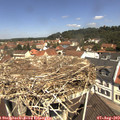 11_35-nest.jpg