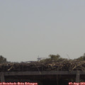 11_45-mast.jpg