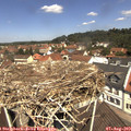 11_55-nest.jpg