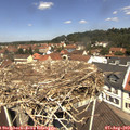 12_00-nest.jpg