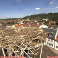 12_05-nest.jpg