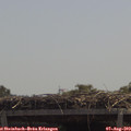 12_25-mast.jpg