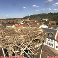 12_25-nest.jpg