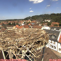 12_40-nest.jpg