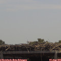 12_45-mast.jpg