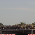 13_00-mast.jpg